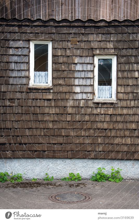 Der schräge Blick Einfamilienhaus Gebäude Mauer Wand Fenster Schindelwand Dachziegel Holz alt außergewöhnlich Zusammensein einzigartig braun Idylle verwittert