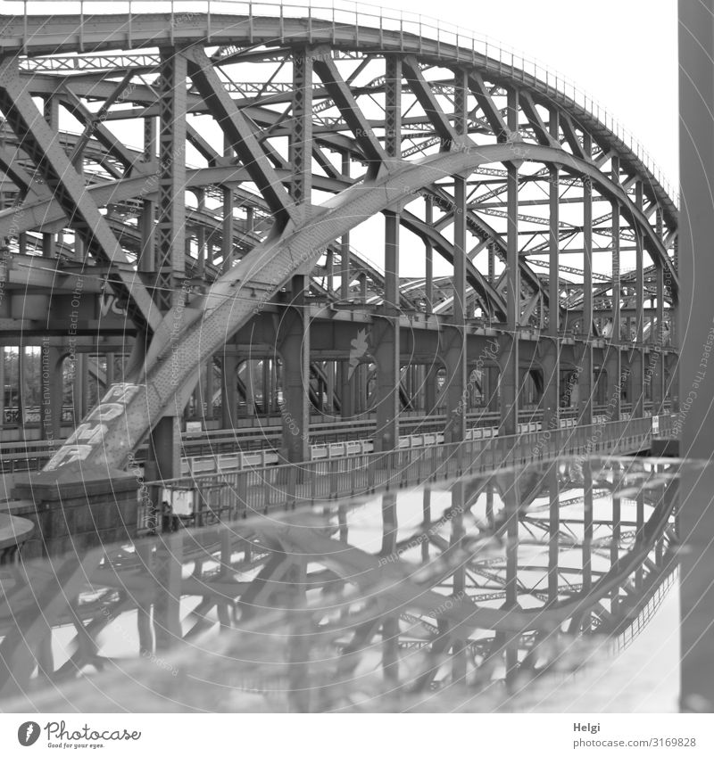 Elbbrücken Hamburg mit Spiegelung in einer Pfütze Stadt Hafenstadt Brücke Bauwerk Architektur Verkehrswege Straße Schienenverkehr stehen authentisch