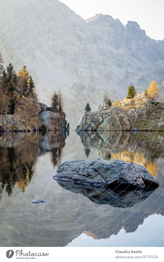 Trecolpas See in den französischen Alpen im Herbst Umwelt Natur Landschaft Baum Felsen Berge u. Gebirge wandern Farbe Spiegelbild Teleobjektiv lac