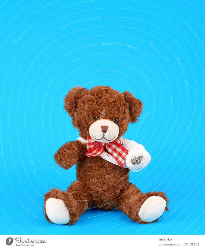 Teddybär mit aufgewickelter weißer Verbandspranke Freude Behandlung Krankheit Medikament Kind Krankenhaus Kindheit Arme Band Tier Pfote Spielzeug Puppe sitzen