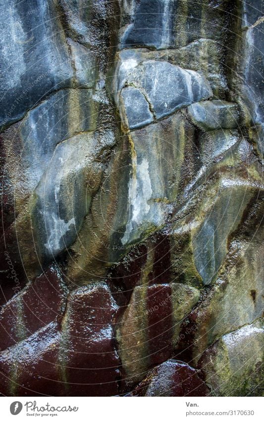 in Stein gemeiselt Natur Wasser Felsen nass grau rot feucht glänzend Felswand Farbfoto Gedeckte Farben Außenaufnahme Detailaufnahme Menschenleer Tag