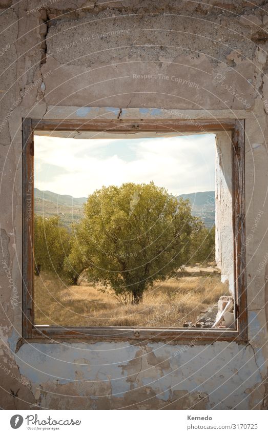Blick auf einen Baum und Berge aus dem Fenster eines alten Hauses. Design schön Wellness Leben harmonisch ruhig Ausflug Abenteuer Freiheit Sommer