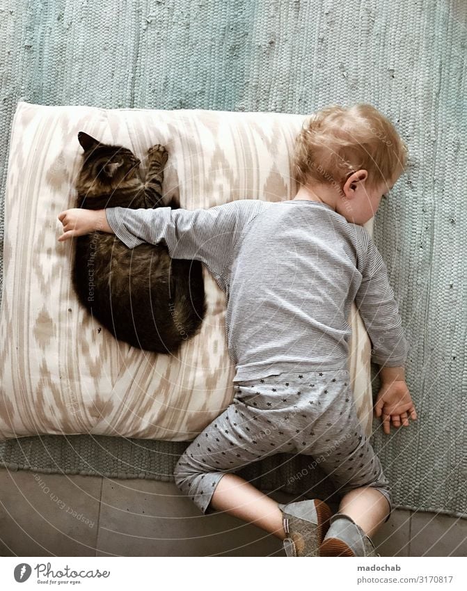 Tierliebe Lifestyle Häusliches Leben Wohnung Kleinkind Junge Kindheit Katze Gefühle Glück Zufriedenheit Lebensfreude Schutz Geborgenheit Warmherzigkeit