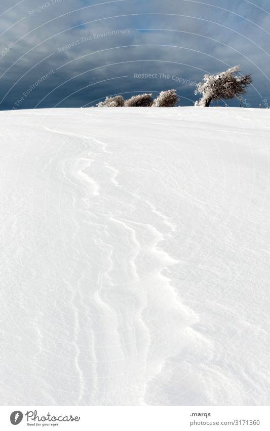Formation Natur Landschaft Himmel Gewitterwolken Winter Schnee Baum 4 kalt Neigung Eis dunkel Schauinsland Farbfoto Außenaufnahme Menschenleer