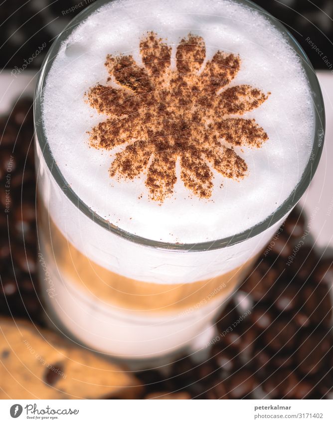 Kaffee mit Bohnen und Zimt Kakao Latte Macchiato Glas Blume genießen Farbfoto Studioaufnahme Nahaufnahme Detailaufnahme Makroaufnahme Tag