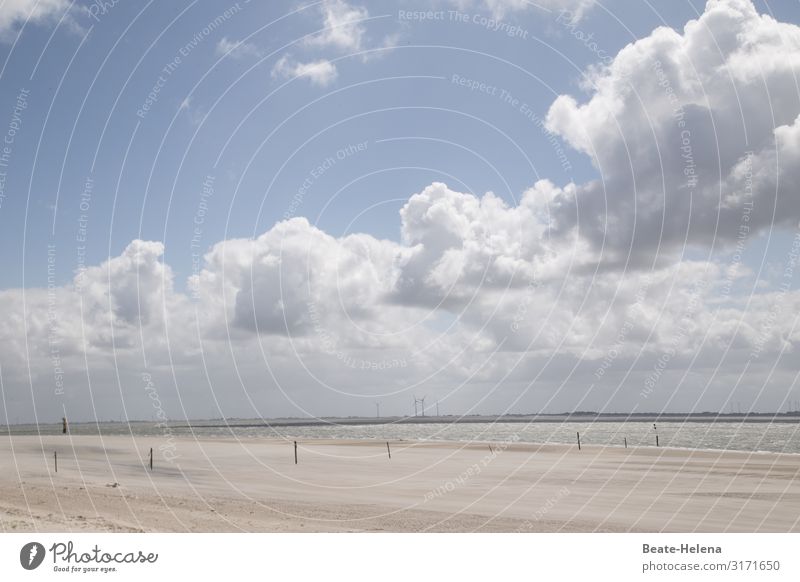 Meer und Wolken: Wolkenmeer? Strand Wasser Markierungen Hintergrund Industrie Himmel blau Cumuluswolken Dynamik Landschaft Natur Küste Sand