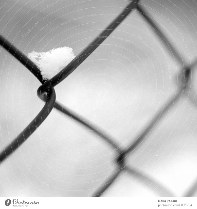 Schneeecke Natur Zaun schwarz weiß Barriere Schwarzweißfoto Außenaufnahme Menschenleer