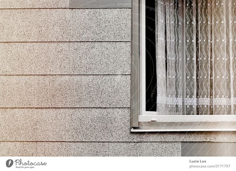 Fenster, weit offen Häusliches Leben Mauer Wand Fassade trist zart Gardine Vorhang Einblick grau weiß Gedeckte Farben Außenaufnahme Textfreiraum links