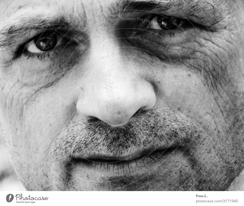 Blickkontakt Mensch maskulin Mann Erwachsene Gesicht Bart 45-60 Jahre ästhetisch einzigartig schön Kraft authentisch Traurigkeit sensibel intensiv nachdenklich