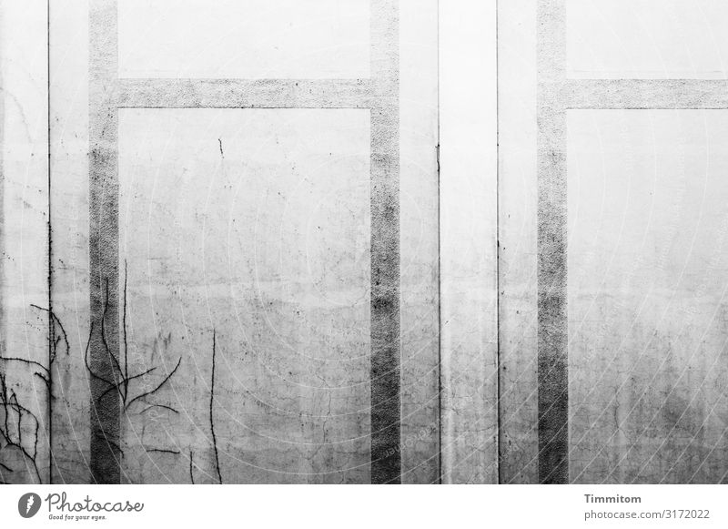 Fassade, grau Häusliches Leben Haus Innenhof Linie alt ästhetisch kaputt schwarz weiß Gefühle Vergangenheit Efeuspuren Schwarzweißfoto Außenaufnahme