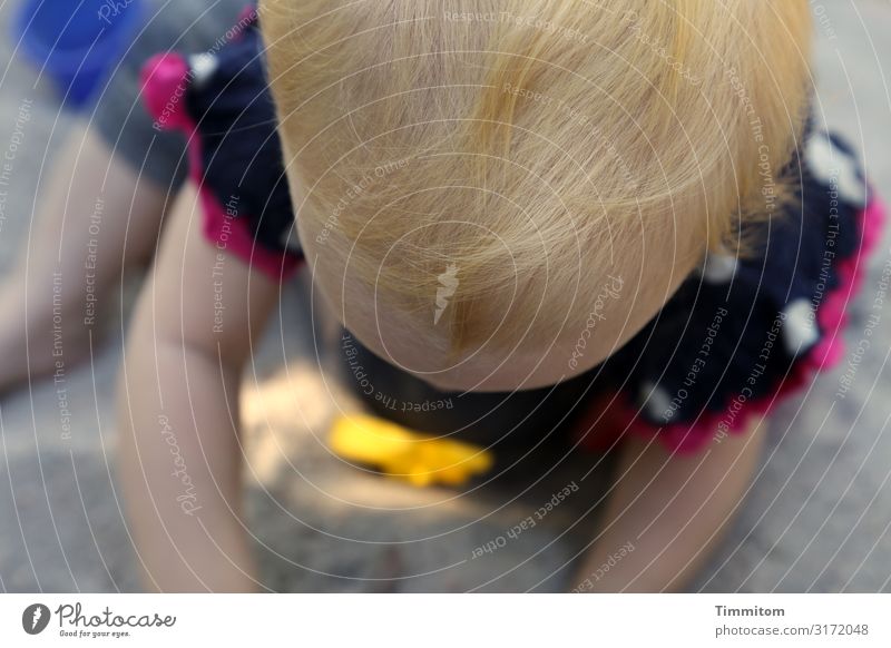 Ein Kinderspiel Mensch Kleinkind Kopf Haare & Frisuren 1 Sand Spielen mehrfarbig Gefühle Sandkasten Spielplatz Zuneigung Konzentration Farbfoto Außenaufnahme