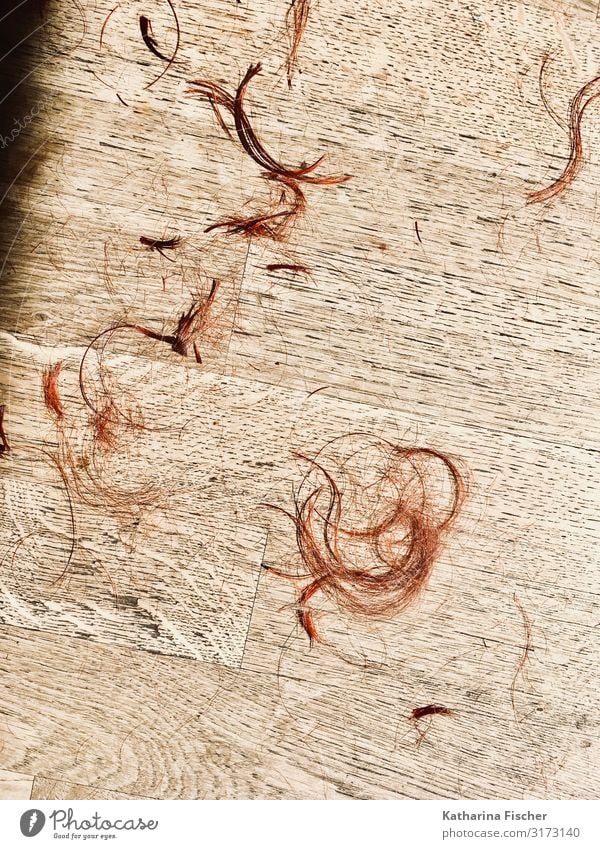 Haare lassen Haare & Frisuren braun rot weiß Friseursalon Wohnzimmer Haarschnitt Locken Boden Parkett Haarsträhne Haarfarbe Haarausfall rothaarig Farbfoto