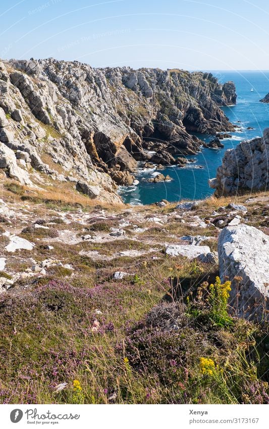 Bretagne - Pointe de Pen-Hir Klippen Natur Landschaft Meer Sommer Felsen Außenaufnahme Menschenleer Tag Küste Urlaub Ferien & Urlaub & Reisen Schönes Wetter