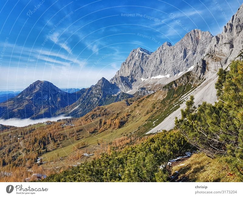 Dachsteinmasiv Umwelt Natur Landschaft Baum Sträucher Felsen Alpen Berge u. Gebirge Rötelstein fantastisch Freundlichkeit natürlich Wärme Lebensfreude träumen