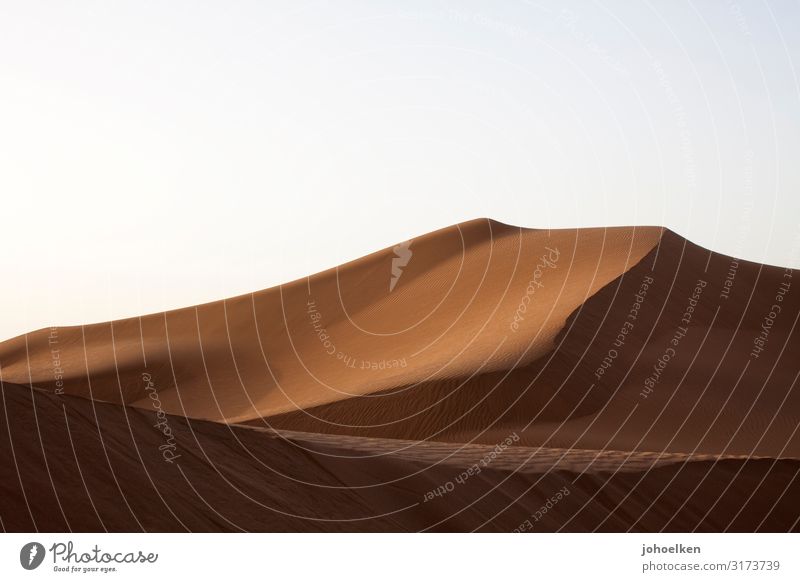 Sandburg I Landschaft Himmel Wolkenloser Himmel Sonnenlicht Wüste Sahara Düne Marokko Afrika Menschenleer heiß trocken Wärme weich braun Warmherzigkeit sparsam