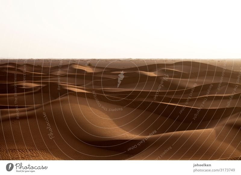 Sandmeer Abenteuer Safari Expedition Landschaft Sonnenlicht Klimawandel Dürre Wellen Wüste Sahara Ferien & Urlaub & Reisen dehydrieren groß Unendlichkeit