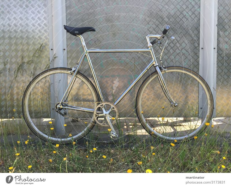 silbernes single speed fahrrad vor metallwand Design Freizeit & Hobby Fahrrad Fahrradfahren singlespeed Rennrad Ausflug Fahrradtour Sport Metall Chrom fixi