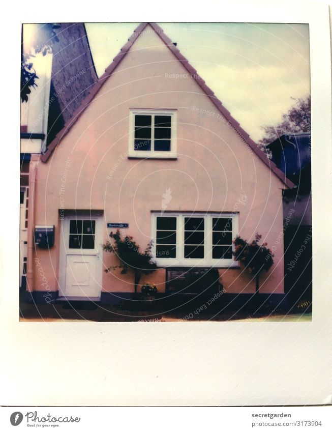 irgendwie aussermittig. Häusliches Leben Wohnung Traumhaus Himmel Pflanze Sträucher schleswig Kleinstadt Fassade Fenster Tür Briefkasten rosa Farbe Symmetrie