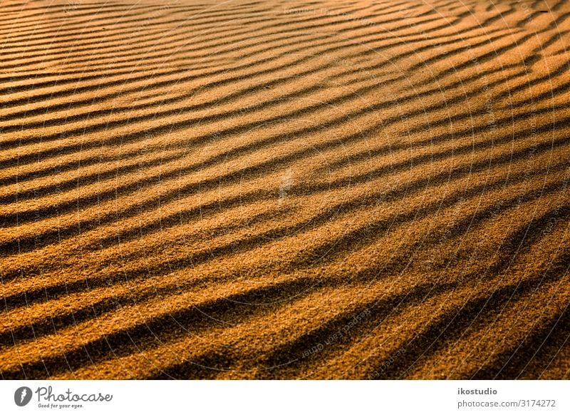 Goldener Sand Strand Hintergrund Nahaufnahme Küste Tropen natürlich tropisch Sandtextur abstrakt trocken Textur marin Sandstrand gold Dünenwüsten sandig Natur