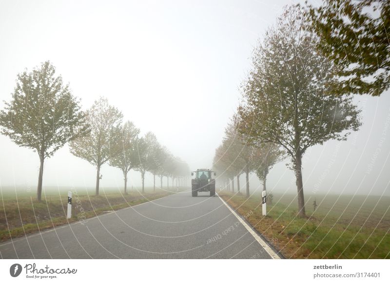 Trecker im Nebel Allee Dunst gerade geradeaus Herbst Herbstfärbung Landschaft Landstraße Menschenleer Morgen Perspektive Ferne Straße Textfreiraum Traktor
