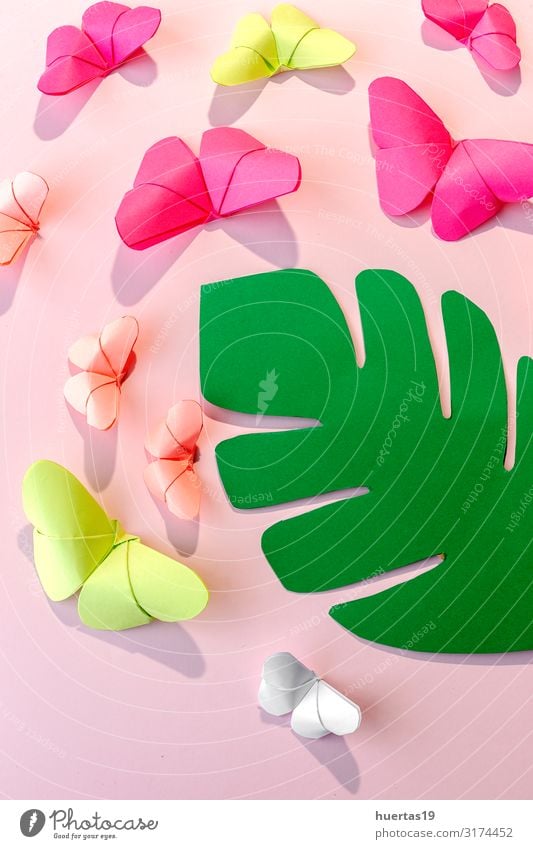 Mehrfarbige Origami-Schmetterlinge von oben Lifestyle Design schön Freizeit & Hobby Spielen Dekoration & Verzierung Tapete Kunst Kultur Papier Spielzeug