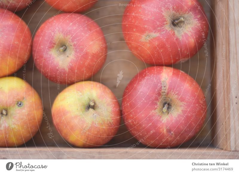 Leckere rote Äpfel in einer Holzkiste Lebensmittel Frucht Apfel Cox Orange Ernährung Bioprodukte Vegetarische Ernährung Kasten ästhetisch authentisch einfach