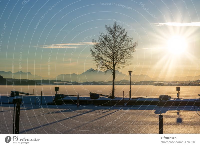 gefrorener See bei Sonnenuntergang Weihnachten & Advent Natur Landschaft Sonnenlicht Winter Schönes Wetter Eis Frost Schnee Baum Seeufer beobachten genießen