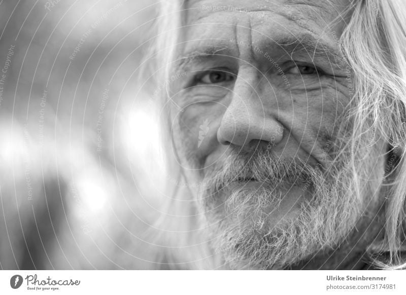 Alter Mann mit langen grauen Haaren Mensch maskulin Erwachsene Männlicher Senior Leben Kopf Haare & Frisuren Gesicht Auge Nase Bart 1 60 und älter alt