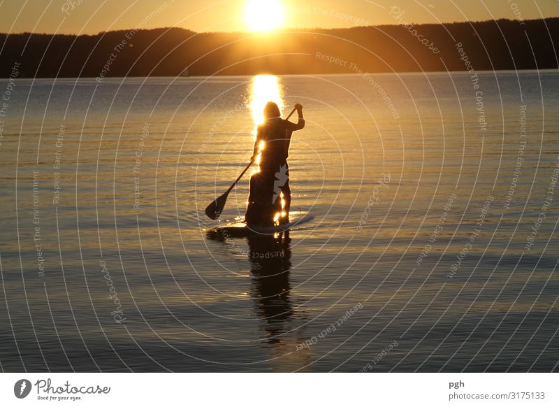 Suppen bei Sonnenuntergang feminin Junge Frau Jugendliche Leben Umwelt Wasser Herbst Klima Schönes Wetter Seeufer Wasserfahrzeug Bewegung Erholung fahren