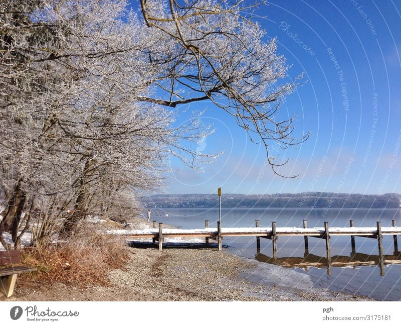 Raureif am See Umwelt Natur Landschaft Wasser Wolkenloser Himmel Eis Frost Schnee Baum Seeufer Schifffahrt Bewegung Denken gehen laufen wandern blau weiß