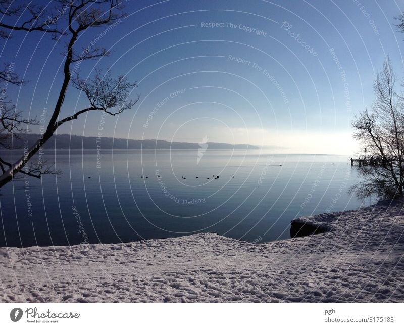 Nebel über dem Starnberger See Sonne Winter Eis Frost Seeufer Menschenleer Schifffahrt Wasser atmen Denken gehen Blick wandern frei schön blau weiß entdecken