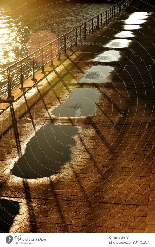 Goldener Mittelweg | UT HH19 Umwelt Urelemente Wasser Sonne Sonnenaufgang Sonnenuntergang Sonnenlicht Schönes Wetter Flussufer Menschenleer Geländer