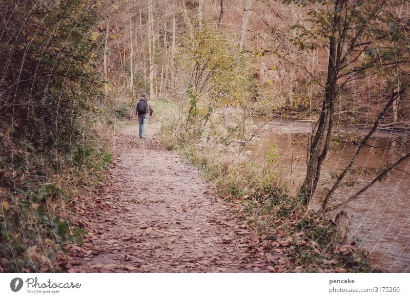 photograph am phluß Freizeit & Hobby Natur Landschaft Urelemente Wasser Herbst Baum Sträucher Wald Flussufer wandern Fotograf Schlucht Eistobel Deutschland