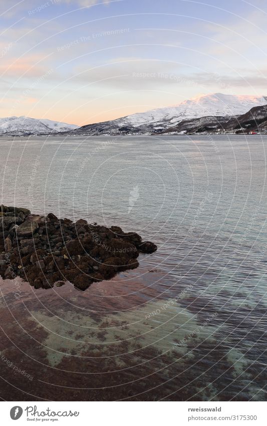 Blick auf die Hinnoya-Insel von Skanland über Tjeldsundet. Norwegen-04 Erholung ruhig Angeln Ferien & Urlaub & Reisen Tourismus Ausflug Sightseeing Meer Winter