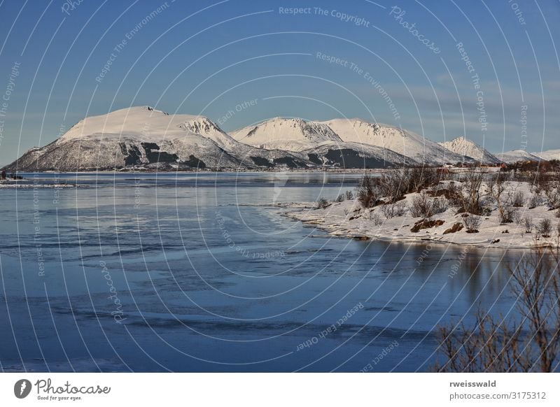 Roksoyfjorden+Litleoya Insel. Hinnoya+Andoya-Vesteralen-Norwegen-28 Ferien & Urlaub & Reisen Tourismus Ausflug Sightseeing Sonne Meer Winter Schnee Winterurlaub