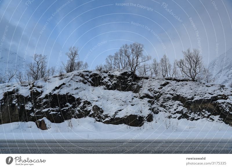 Felsen im Lobergsbukta-Gullesfjord. Gullesfjordbotn-Hinnoya-NO-74 Meer Winter Schnee Haus Umwelt Natur Landschaft Pflanze Erde Luft Himmel Wolken Sonnenlicht
