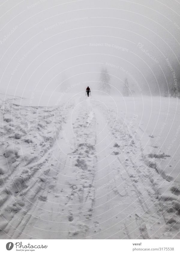 Tourengeher im Schnee und Nebel Freizeit & Hobby Winter Berge u. Gebirge Skitour Wintersport Mann Erwachsene 1 Mensch Landschaft Alpen Bewegung genießen Sport