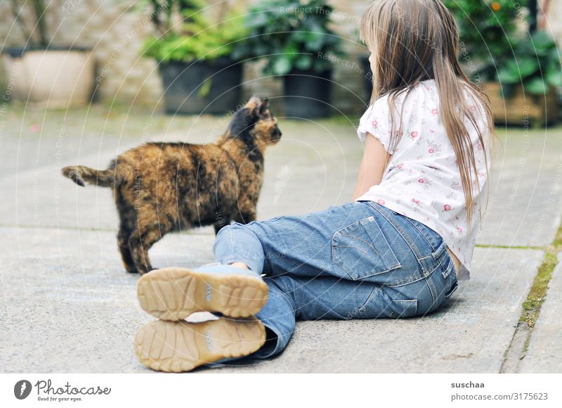 mädchen mit einer straßenkatze auf dem bauernhof Hof Bauernhof ländlich Kind Mädchen Katze Hauskatze Straßenkatze Haustier freilebend anschauen Kontaktaufnahme