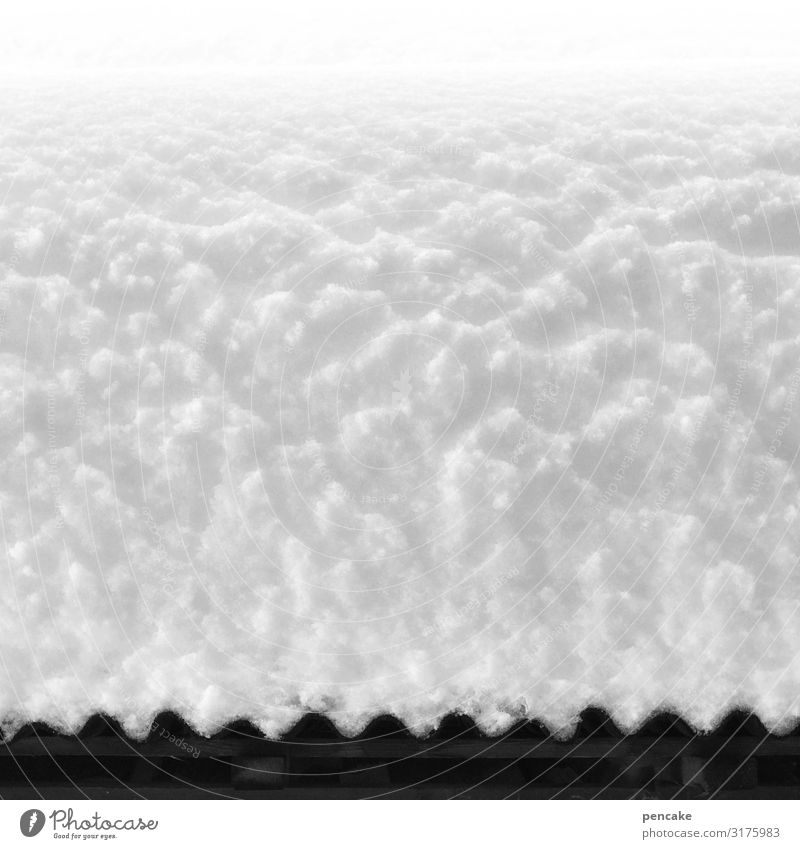 weißröckchen Natur Winter Schnee Hütte Dach ästhetisch bedrohlich hell kalt Schneedecke Schwarzweißfoto Außenaufnahme Nahaufnahme Detailaufnahme