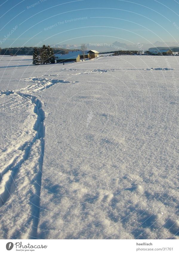 Winterimpression Baum Haus Fußspur Allgäu Hügel Spuren Berge u. Gebirge Schnee Sonne Himmel Alpen
