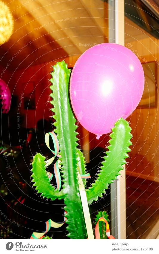End of the party Nachtleben Feste & Feiern Kaktus Künstliche Pflanze Dekoration & Verzierung Luftballon Kitsch Krimskrams Kunststoff fangen festhalten