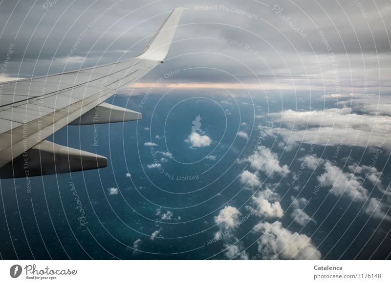 Blick aufs Meer durchs Flugzeugfenster Umwelt Landschaft Urelemente Wasser Himmel Wolken Horizont schlechtes Wetter Luftverkehr Passagierflugzeug