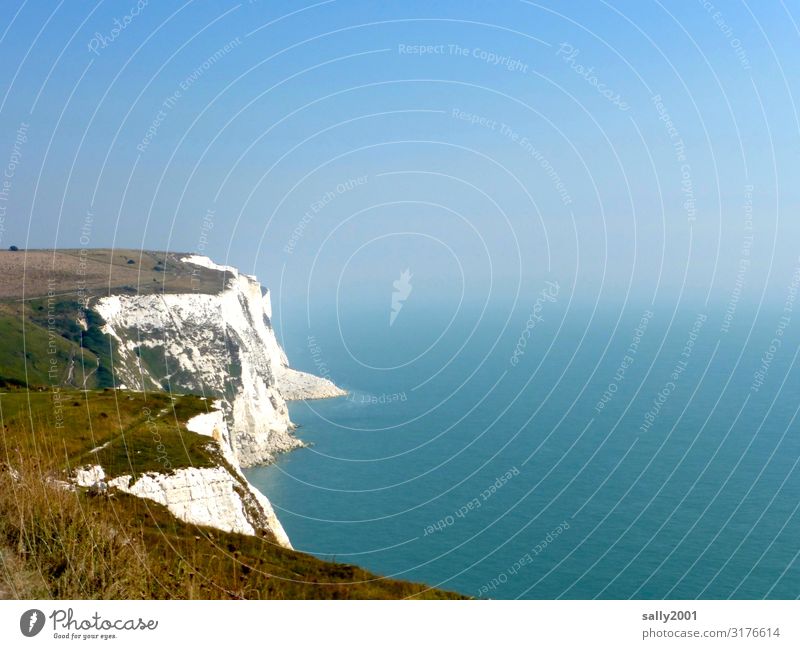 the white cliffs... Klippe weiß Dover Kent England Großbritannien Küste menschenleer Meer Ärmelkanal Himmel Natur Kreidefelsen schönes Wetter Brexit Landschaft