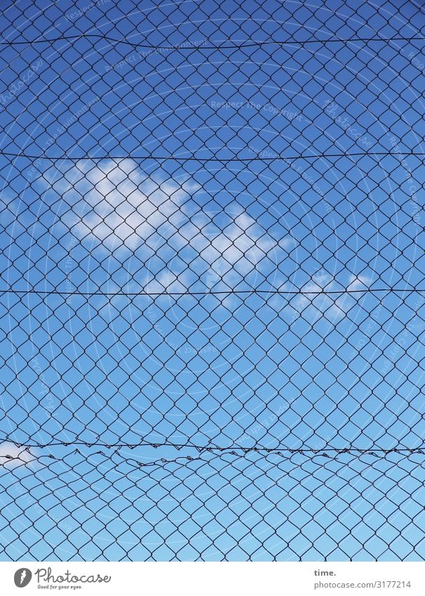 Geschichten vom Zaun (III) Himmel Wolken Schönes Wetter Maschendrahtzaun Metall Linie Netz Netzwerk kaputt trashig blau Sicherheit Schutz Leben Ordnungsliebe