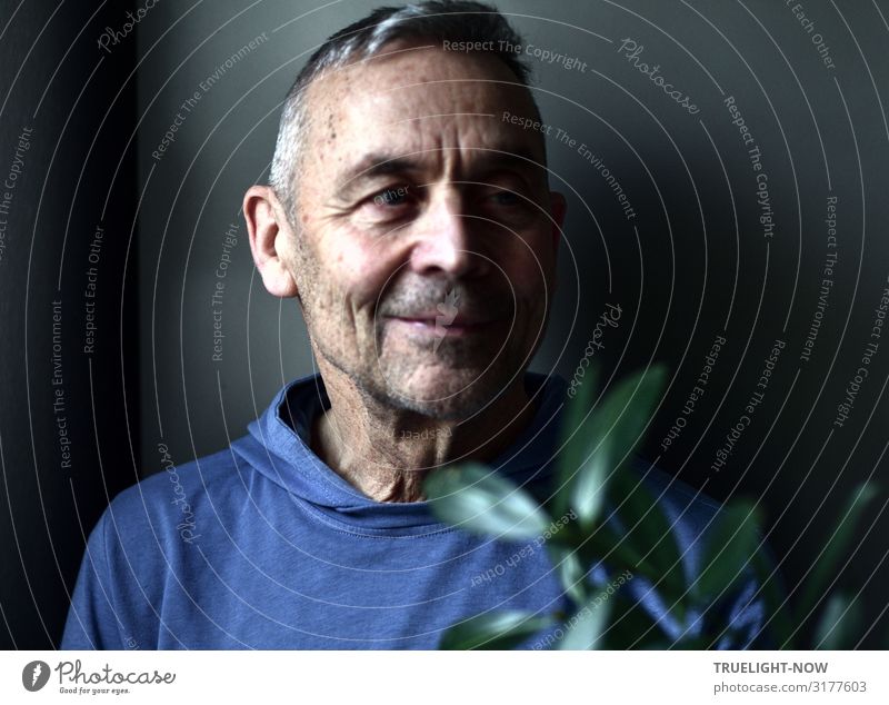 Neuer Selfie-Versuch Männlicher Senior Mann Leben Kopf Gesicht 60 und älter Pullover beobachten Denken genießen Lächeln Blick träumen alt authentisch frech