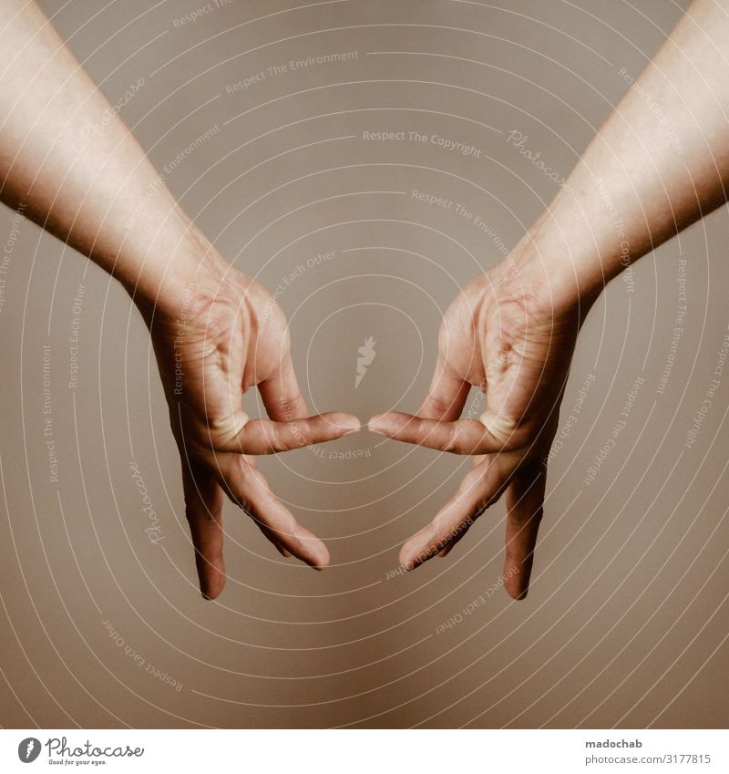 Fingerspitzengefühl - Hände mit Finger Kommunikation Lifestyle Stil Körper Arme Hand ästhetisch geheimnisvoll Hoffnung Identität Kommunizieren Kontakt Kontrolle