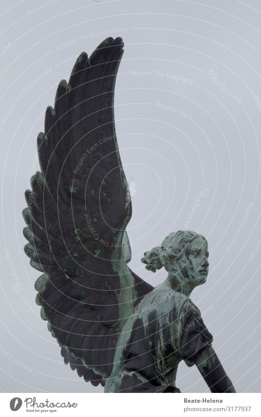 Beflügelt ins neue Jahr Kunst Kunstwerk Himmel Schönes Wetter Sehenswürdigkeit Stein Zeichen Engel berühren fliegen Kommunizieren ästhetisch außergewöhnlich
