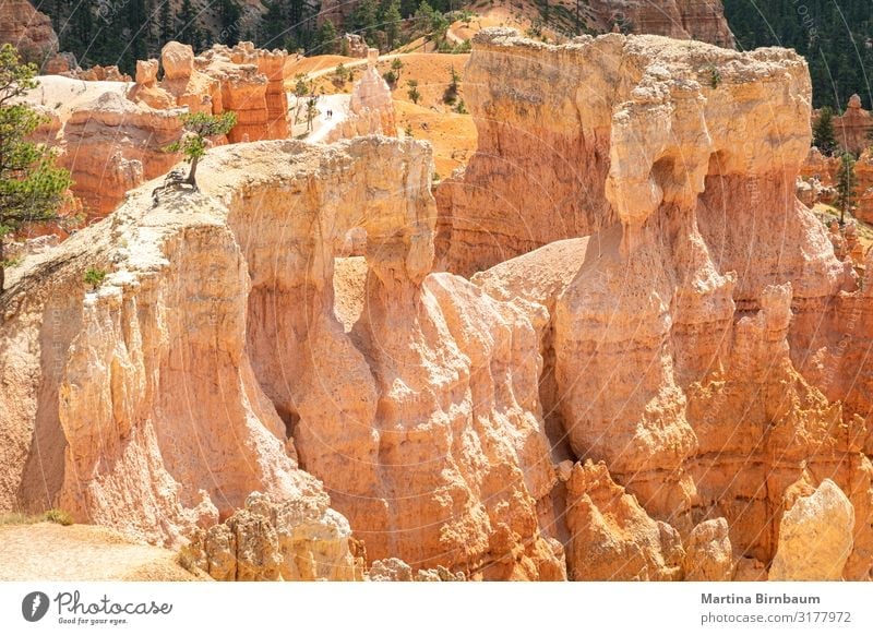 Hoodoo-Formation im Bryce Canyon Nationalpark, Utah Ferien & Urlaub & Reisen Berge u. Gebirge Natur Landschaft Himmel Park Felsen Schlucht Denkmal Stein gold