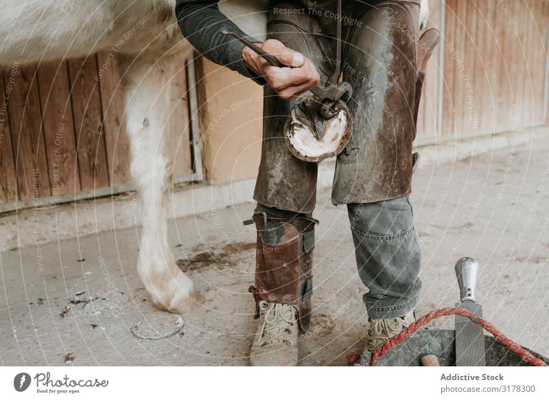 Mann beschuht Pferd in der Nähe des Stalls Hufschmied Hufeisen Pferdestall Ranch Hammer anmachend Arbeit & Erwerbstätigkeit Werkzeug Eisen Tier Gerät Beruf
