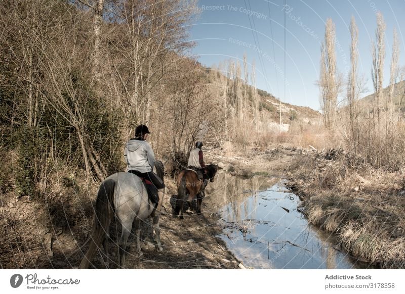 Anonyme Menschen auf Pferden im Bach Reiten Landschaft Herbst Schulunterricht Pferderücken Wasser ruhig Natur Sport Reiterin Lifestyle Erholung heimisch